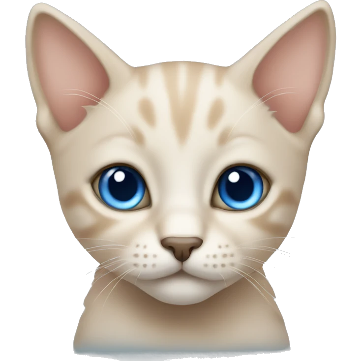 Beige kitten with blue eyes emoji
