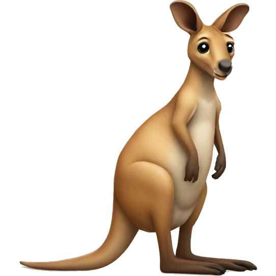 kangaroo learning emoji