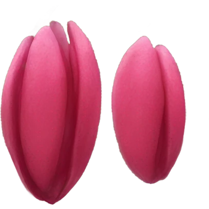 Red buds emoji