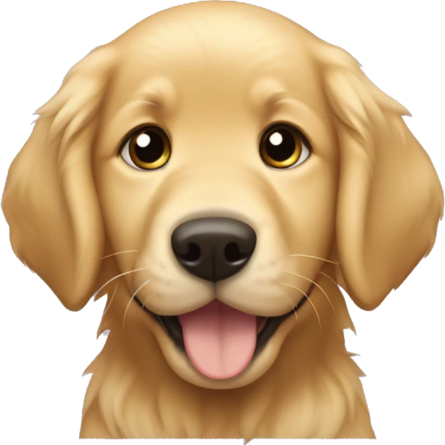 A golden retriever puppy saying “buy me Matthew” emoji