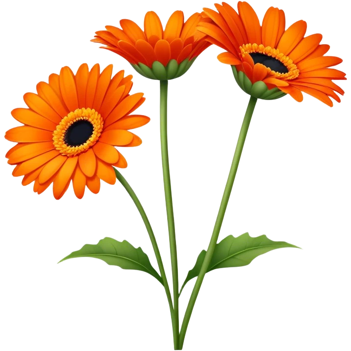 single Vibrant Orange Gerbera Daisy, straight stem emoji