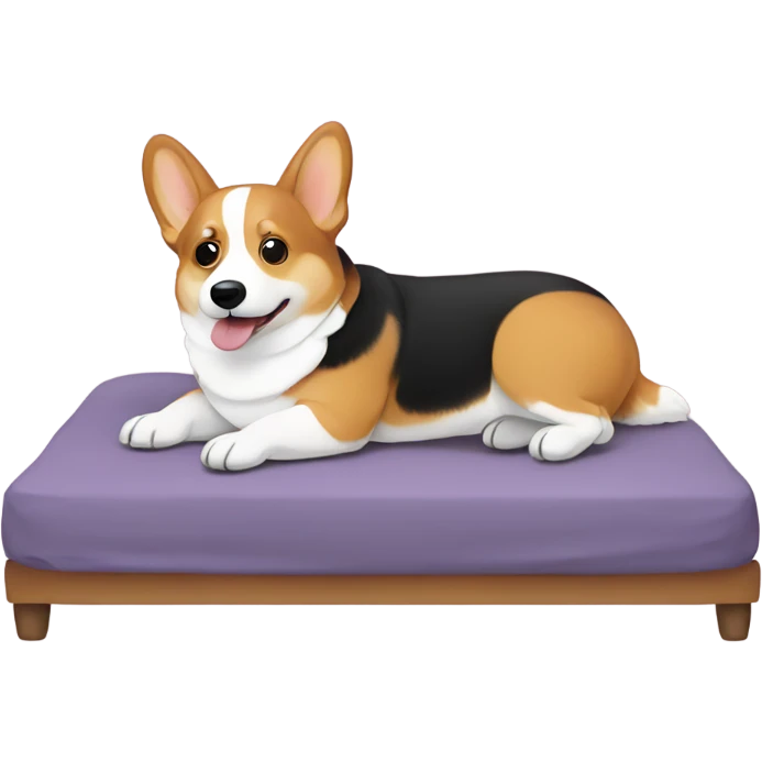 Corgi on a bed emoji