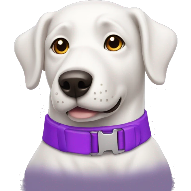 White mutt dog wearing purple collar  emoji