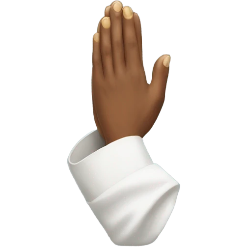 Prayer Hands Emoji emoji