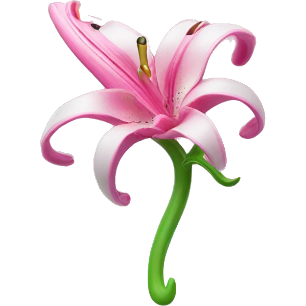 hair claw/clip with pink lily ( accessory)  emoji
