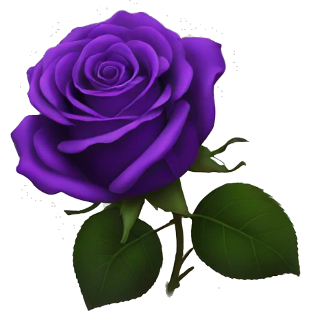 Purple Rose with black background emoji