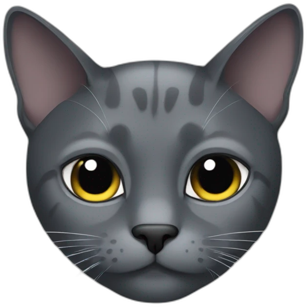 grey and black cat with one eye bigger than the other emoji