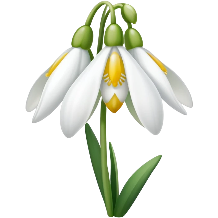 snowdrop flower with sun emoji