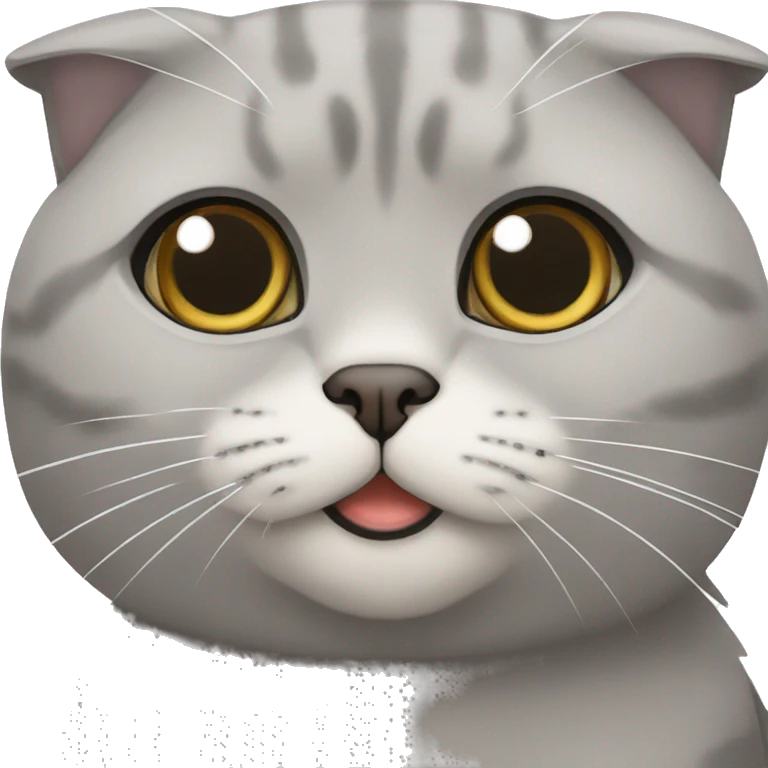 Grey Scottish fold cat  emoji