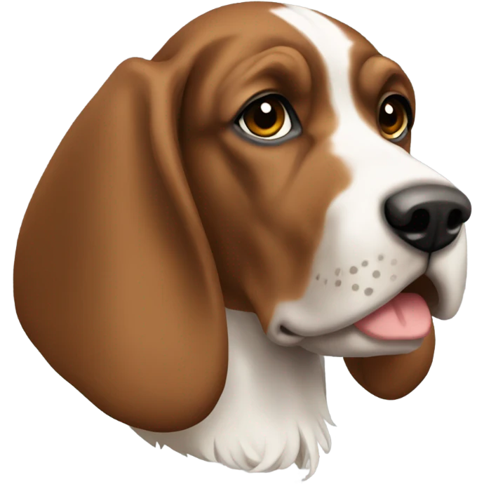 Bracco Italiano  emoji