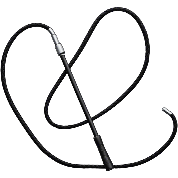 Black riding whip  emoji