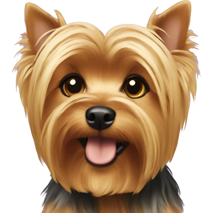 Golden Yorkshire Terrier  emoji