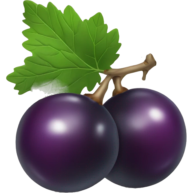 two Blackcurrant emoji