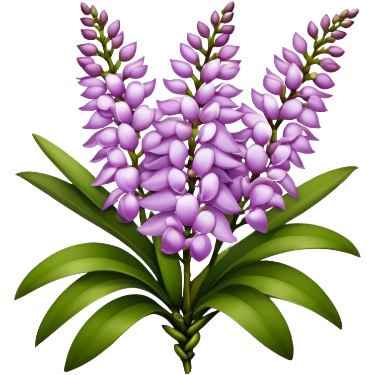 big bouquet Rhynchostylis Orchid, stem, leaf, luxuriant emoji