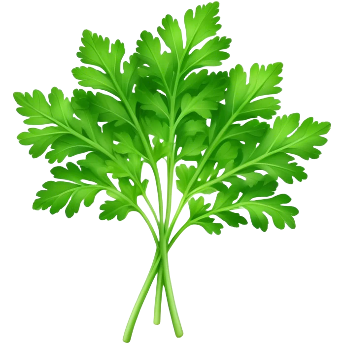Cinematic Realistic Parsley Emoji, Fresh and vibrant, with bright green, frilly leaves that seem to shimmer with vitality. The plant exudes a sense of healthy growth and aromatic zest, inviting both beauty and flavor into any dish. Soft glowing outline, capturing the essence of freshness, health, and culinary delight in a sprig of parsley! emoji