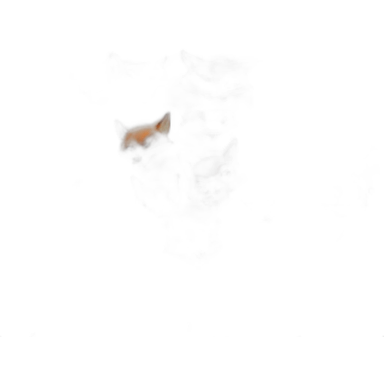 angry scary fox emoji