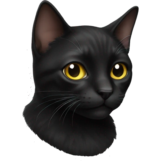 Realistic black cat  emoji