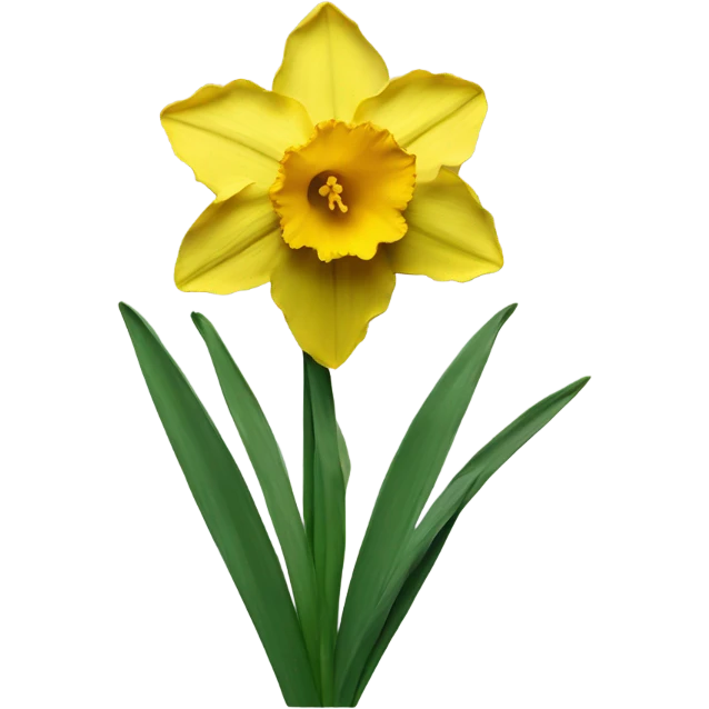 daffodil flowers emoji