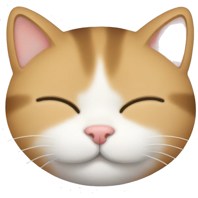 sleeping cat emoji