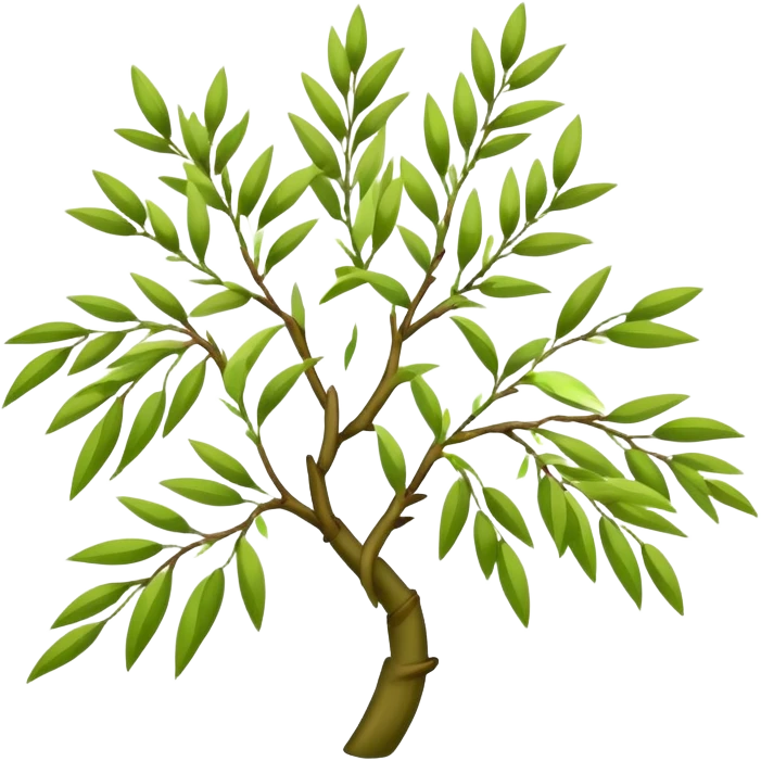 Flower willow tree emoji
