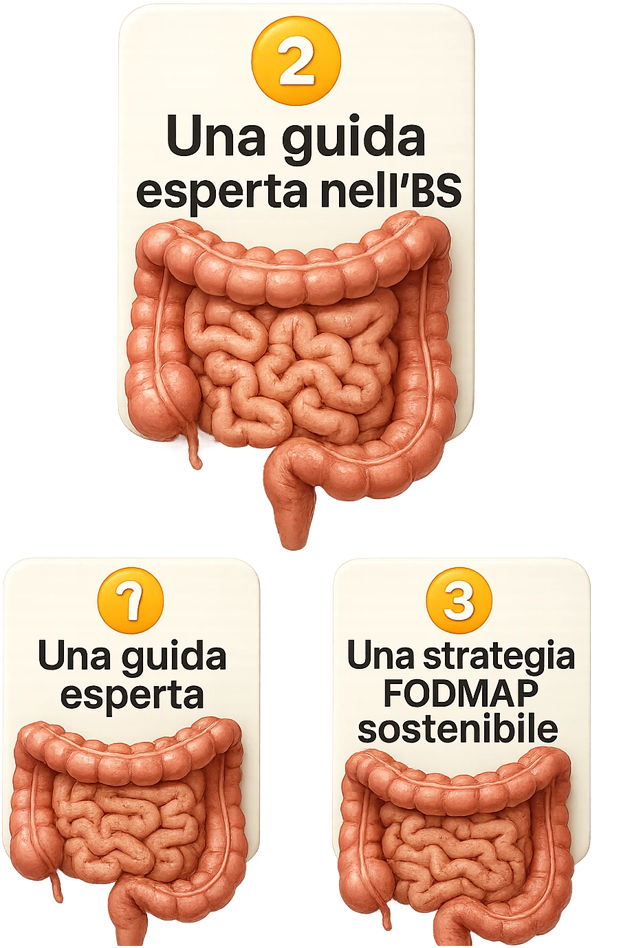 emoji stile iphone di 3 targhette numerate con intestino realistico davanti ad ogni targhetta, le targhette sono:
"1 – Un piano chiaro e strutturato
2 – Una guida esperta nell’IBS
3 – Una strategia FODMAP sostenibile"
, iperrealistico 4k emoji