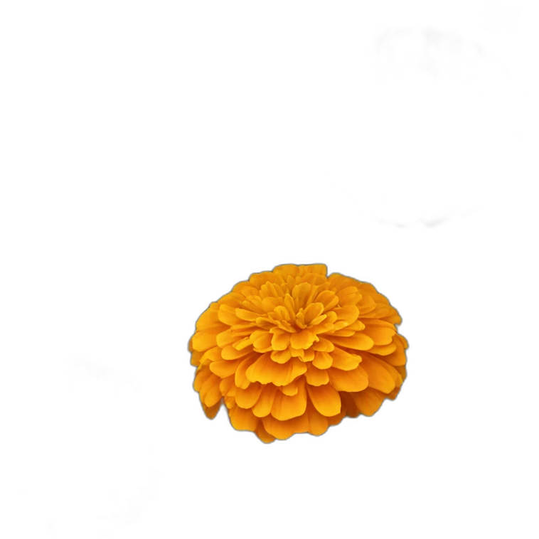 Orange marigold flowers emoji