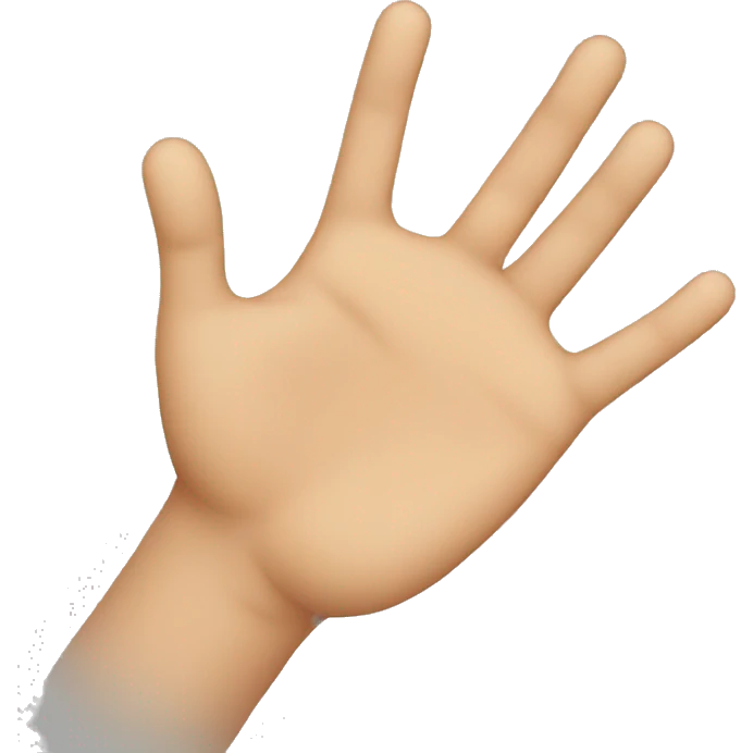 hand to hand emoji