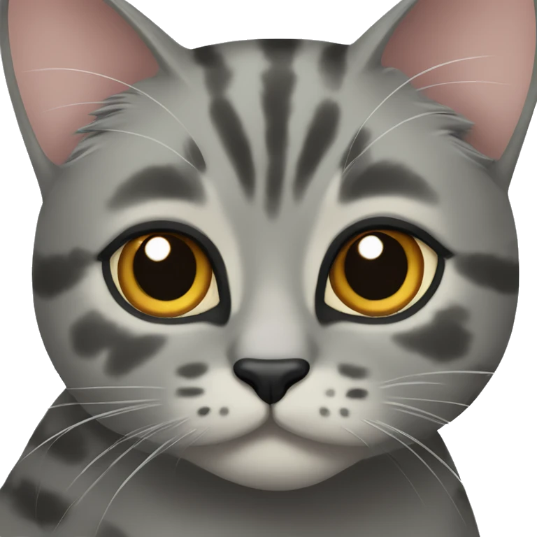 Gray tortoise shell cat emoji