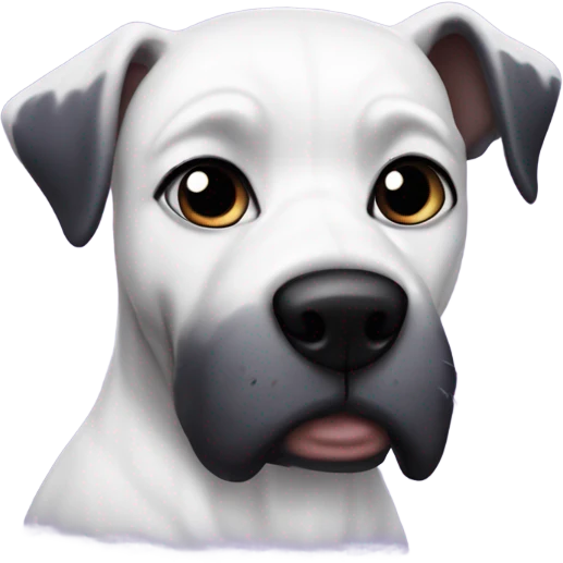 White dog with pointy ears ravens jersey  emoji