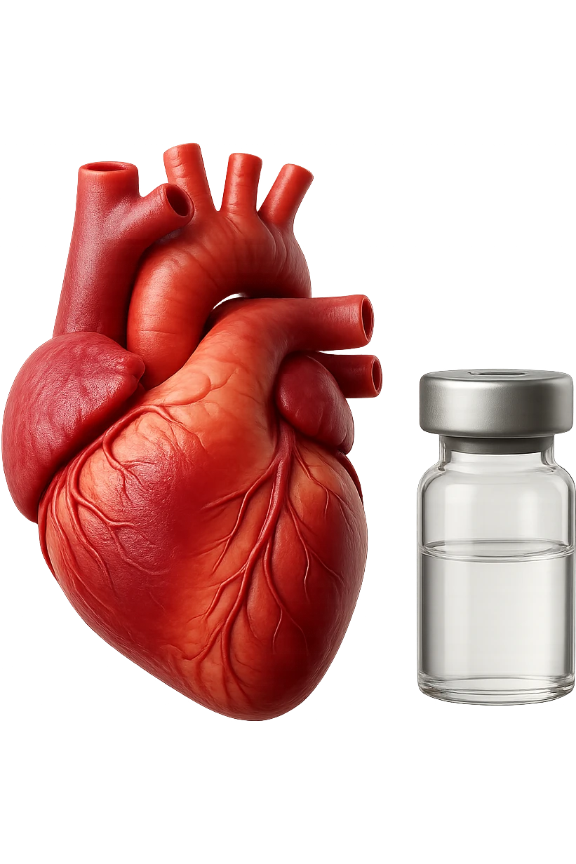 emoji stile iphone di cuore anatomico realistico in 3d che fluttua in aria insieme a una boccetta di fiala medica, FALLO MOLTO REALISTICO IN 3D emoji