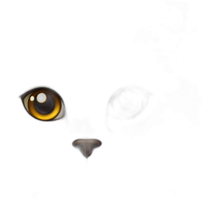 Himalayan ragdoll cat brown eyes emoji