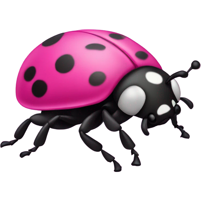 Hot pink ladybug emoji