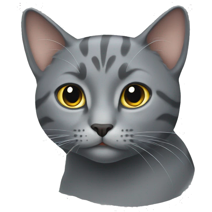 Grey cat with 🩷 emoji