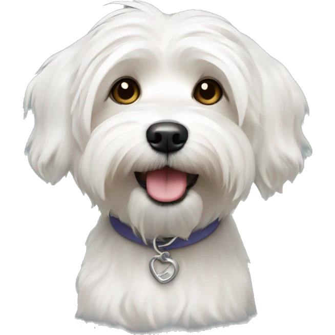 White Havanese dog emoji