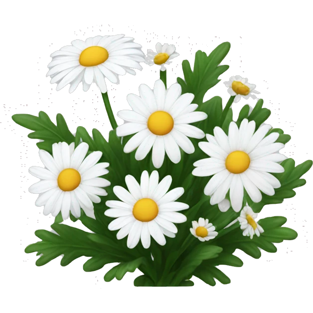White daisies and chrysanthemums  emoji