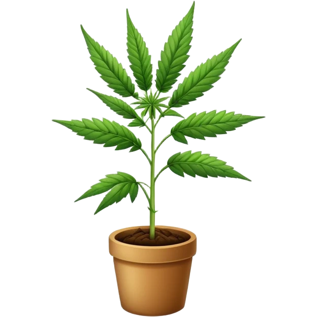 Weed emoji