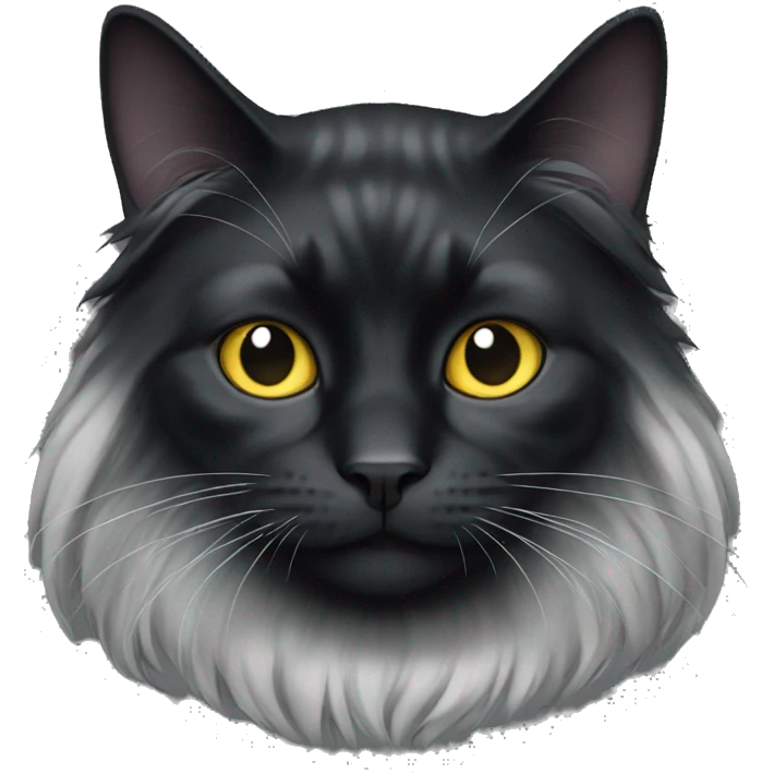 Long haired black cat emoji