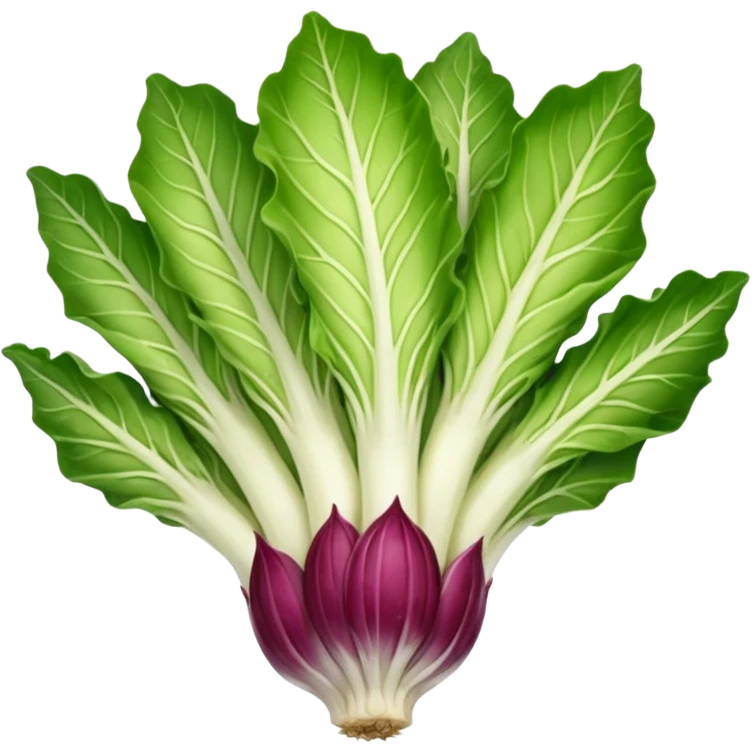 green blegian endive radicchio slim single head  emoji