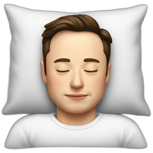 Sleeping-elon-musk emoji