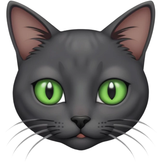 Skinny dark grey cat green eyes close one eye emoji