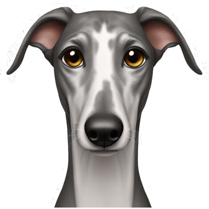 galgo emoji