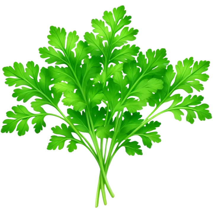 Cinematic Realistic Parsley Emoji, Fresh and vibrant, with bright green, frilly leaves that seem to shimmer with vitality. The plant exudes a sense of healthy growth and aromatic zest, inviting both beauty and flavor into any dish. Soft glowing outline, capturing the essence of freshness, health, and culinary delight in a sprig of parsley! emoji