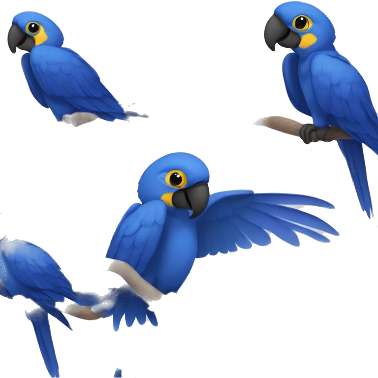 Hyacinth macaw  emoji