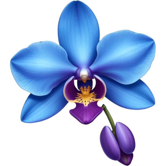 Blue orchid emoji