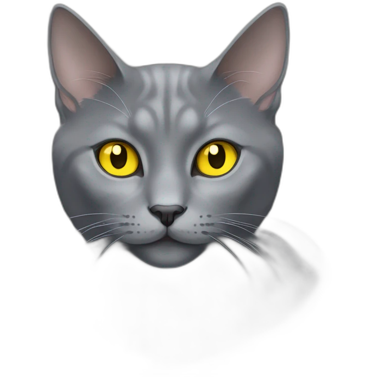 fluffy grey korat breed cat with yellow eyes black pupils, sleeping female emoji