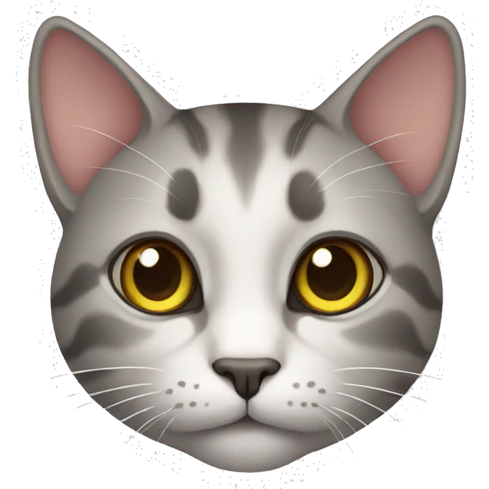 Cat emoji