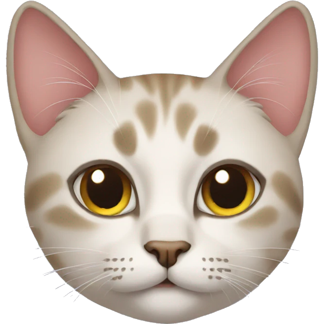 Cat emoji