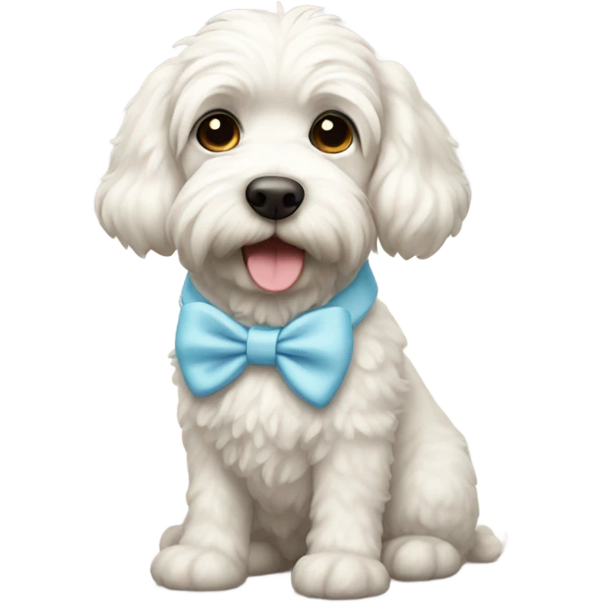 Wheatondoodle white with light blue bow collar  emoji