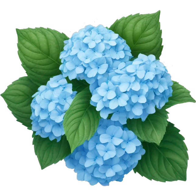 Light blue hydrangea ￼ emoji