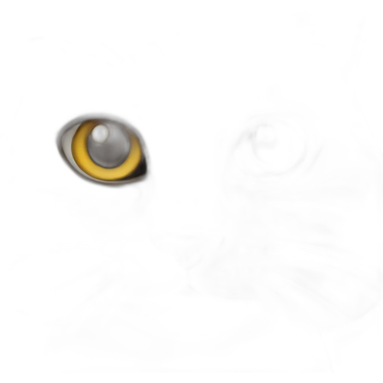gato siamês emoji